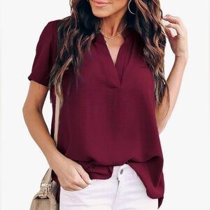 Sheer Burgundy Women's Top
